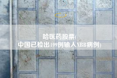 哈医药股票(
中国已检出199例输入XBB病例)