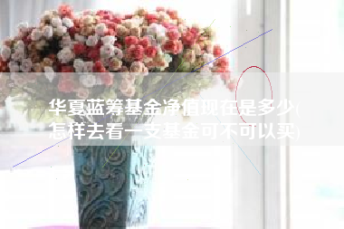 华夏蓝筹基金净值现在是多少(
怎样去看一支基金可不可以买)