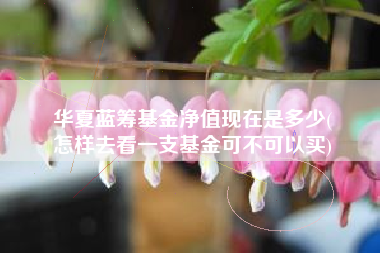 华夏蓝筹基金净值现在是多少(
怎样去看一支基金可不可以买)