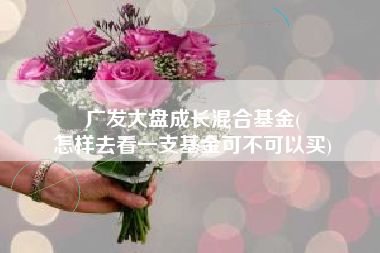 广发大盘成长混合基金(
怎样去看一支基金可不可以买) 广发大盘成长混合基金(
怎样去看一支基金可不可以买)