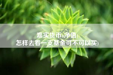 嘉实货币a净值(
怎样去看一支基金可不可以买)