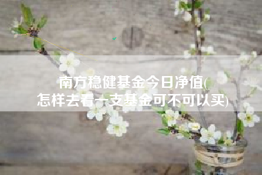 南方稳健基金今日净值(
怎样去看一支基金可不可以买)