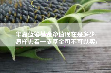 华夏蓝筹基金净值现在是多少(
怎样去看一支基金可不可以买)