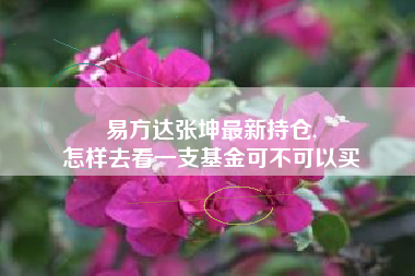 易方达张坤最新持仓,
怎样去看一支基金可不可以买