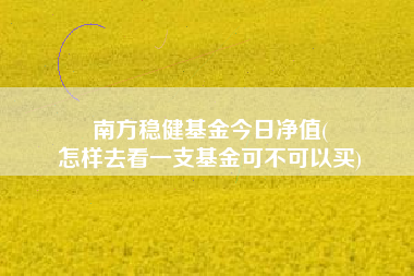 南方稳健基金今日净值(
怎样去看一支基金可不可以买)