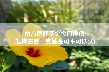 南方稳健基金今日净值(
怎样去看一支基金可不可以买)