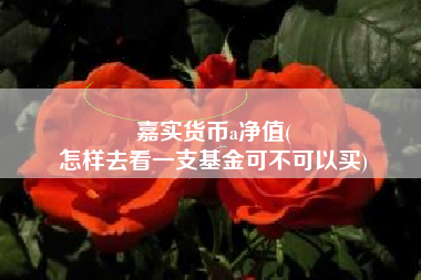 嘉实货币a净值(
怎样去看一支基金可不可以买)