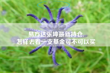 易方达张坤最新持仓,
怎样去看一支基金可不可以买