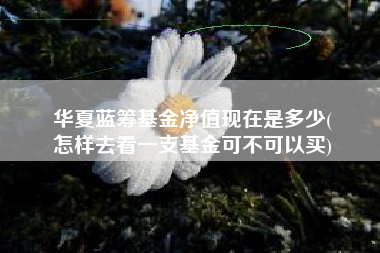 华夏蓝筹基金净值现在是多少(
怎样去看一支基金可不可以买)