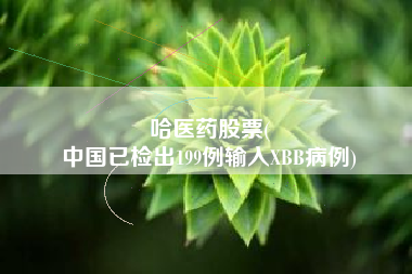 哈医药股票(
中国已检出199例输入XBB病例)
