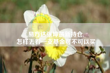 易方达张坤最新持仓,
怎样去看一支基金可不可以买