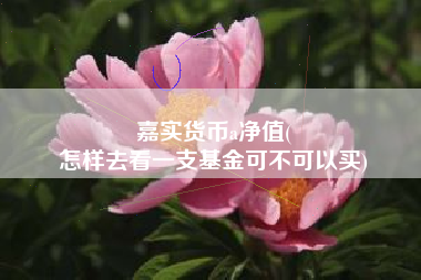 嘉实货币a净值(
怎样去看一支基金可不可以买)