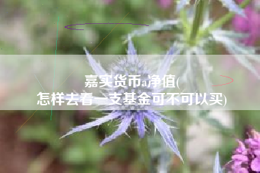 嘉实货币a净值(
怎样去看一支基金可不可以买)