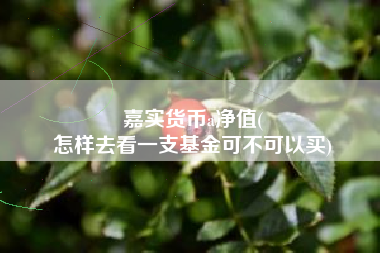 嘉实货币a净值(
怎样去看一支基金可不可以买)