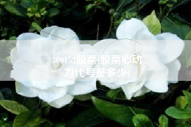 300152股票(股票心动
力代号是多少) 300152股票(股票心动
力代号是多少)