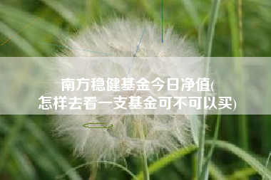 南方稳健基金今日净值(
怎样去看一支基金可不可以买)
