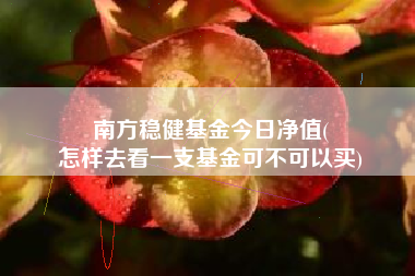 南方稳健基金今日净值(
怎样去看一支基金可不可以买)