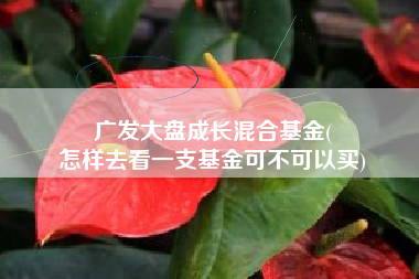 广发大盘成长混合基金(
怎样去看一支基金可不可以买) 广发大盘成长混合基金(
怎样去看一支基金可不可以买)