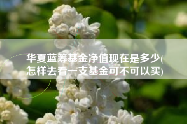 华夏蓝筹基金净值现在是多少(
怎样去看一支基金可不可以买)