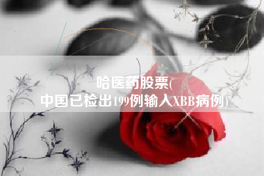 哈医药股票(
中国已检出199例输入XBB病例)