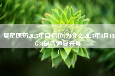 复星医药2023年目标价(为什么2023年8月13G34是普通复兴号
) 复星医药2023年目标价(为什么2023年8月13G34是普通复兴号
)