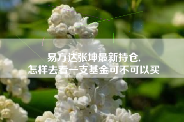 易方达张坤最新持仓,
怎样去看一支基金可不可以买