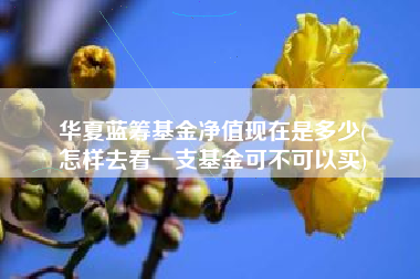 华夏蓝筹基金净值现在是多少(
怎样去看一支基金可不可以买)