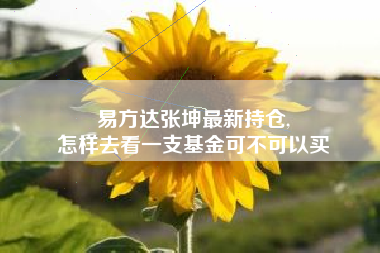 易方达张坤最新持仓,
怎样去看一支基金可不可以买