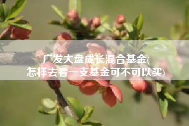 广发大盘成长混合基金(
怎样去看一支基金可不可以买) 广发大盘成长混合基金(
怎样去看一支基金可不可以买)