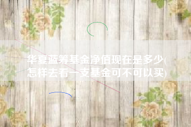 华夏蓝筹基金净值现在是多少(
怎样去看一支基金可不可以买)