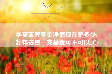 华夏蓝筹基金净值现在是多少(
怎样去看一支基金可不可以买)