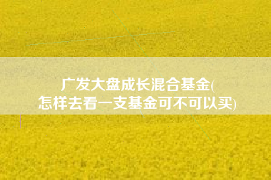 广发大盘成长混合基金(
怎样去看一支基金可不可以买) 广发大盘成长混合基金(
怎样去看一支基金可不可以买)