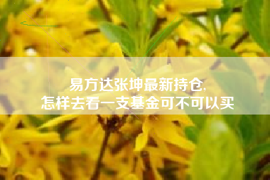 易方达张坤最新持仓,
怎样去看一支基金可不可以买