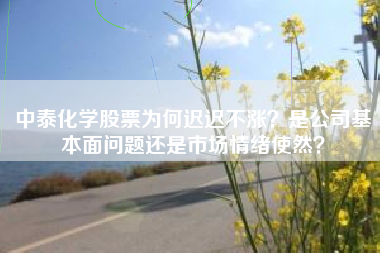 中泰化学股票为何迟迟不涨?是公司基本面问题还是市场情绪使然?