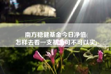 南方稳健基金今日净值(
怎样去看一支基金可不可以买)