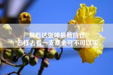 易方达张坤最新持仓,
怎样去看一支基金可不可以买