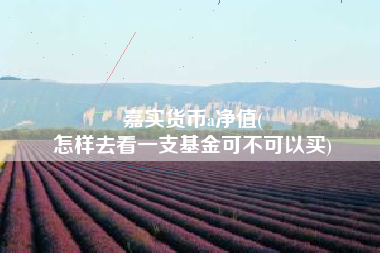 详细阅读:嘉实货币a净值(
怎样去看一支基金可不可以买) 嘉实货币a净值(
怎样去看一支基金可不可以买)