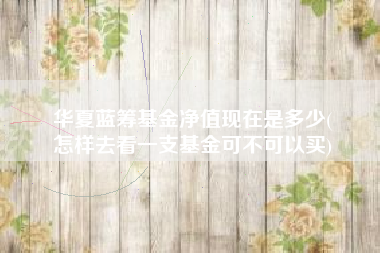 华夏蓝筹基金净值现在是多少(
怎样去看一支基金可不可以买)