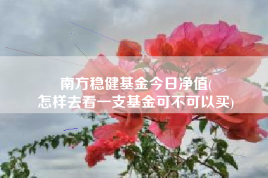 南方稳健基金今日净值(
怎样去看一支基金可不可以买)